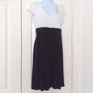 Van Heusen Black and White dress